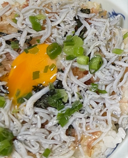 自家製だれで♪しらす丼