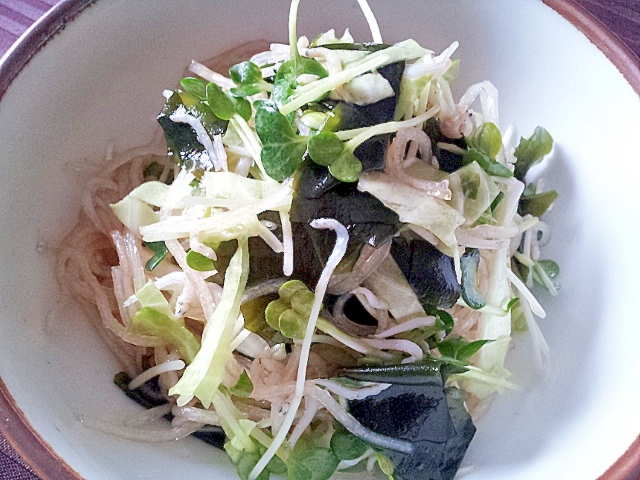 しらす＆かいわれ大根の中華風サラダ