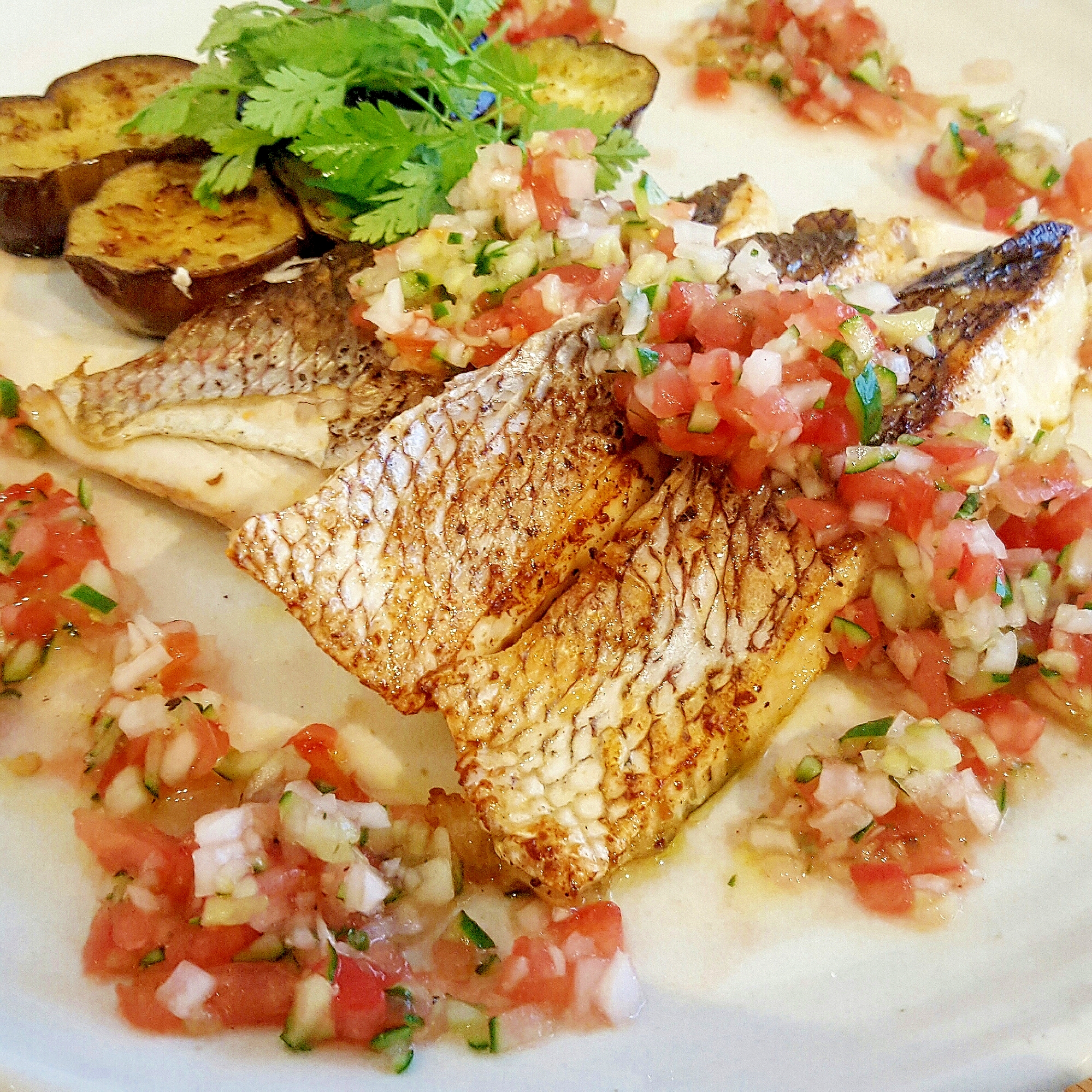 鯛のポワレ ラビゴットソース