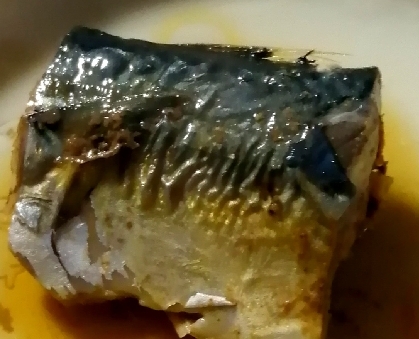 生姜チューブで(*^^*)鯖の味噌煮☆
