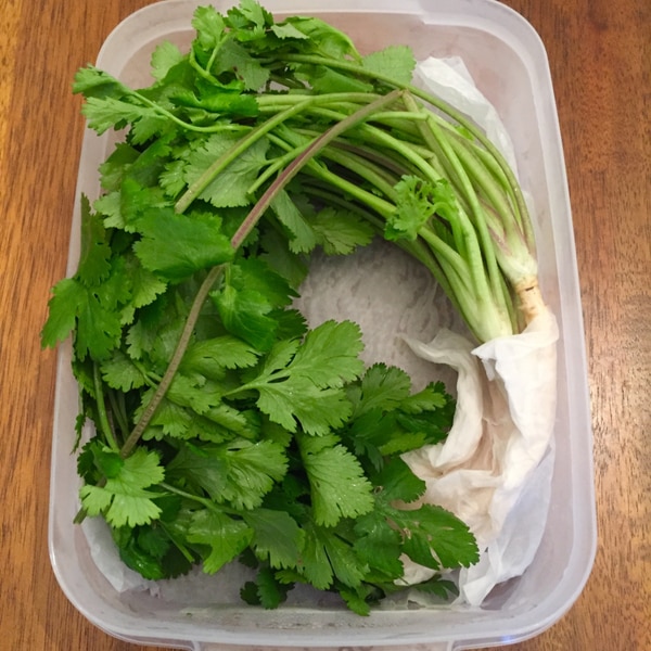 手間いらず パクチーの保存方法 レシピ 作り方 By Pk58 楽天レシピ 手間いらず パクチーの保存方法 レシピ 作り方 By Pk58 楽天レシピ