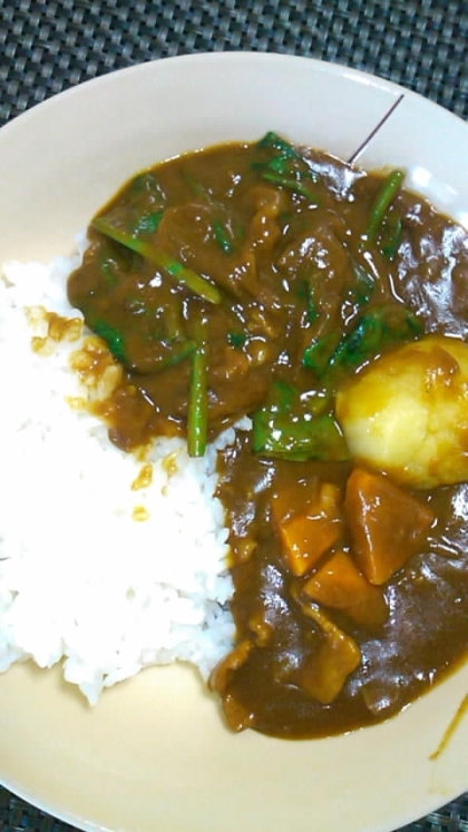 隠し味にチョココーヒー♪ほうれん草カレー