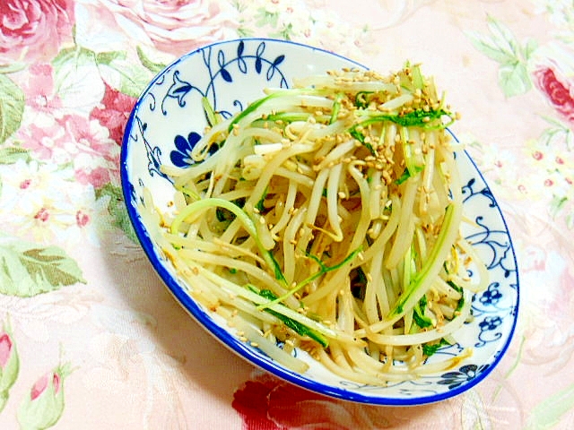 ダシダで簡単❤もやしと水菜のピリ辛胡麻炒め❤