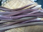 生ずいきの煮物 柔らかいのにシャキシャキ レシピ 作り方 By Zunda34 楽天レシピ 生ずいきの煮物 柔らかいのにシャキシャキ レシピ 作り方 By Zunda34 楽天レシピ