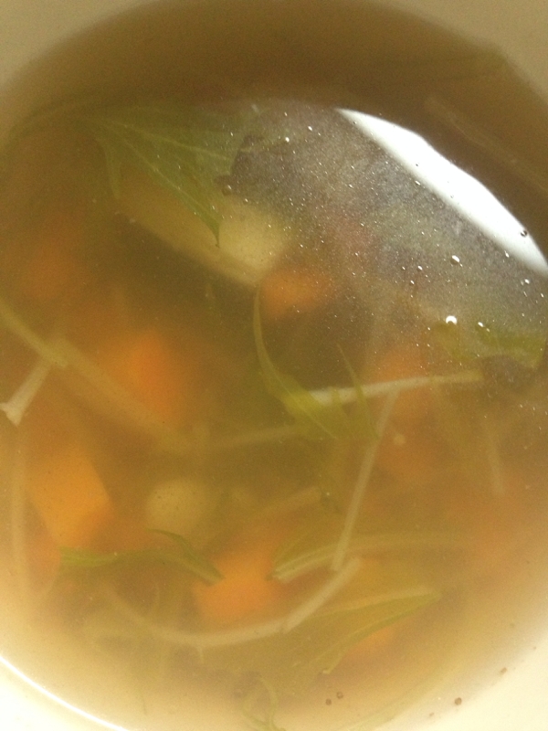 人参と水菜のスパイススープ