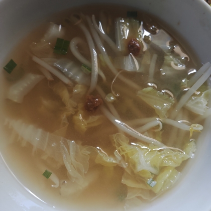 白菜ともやしと小ねぎの味噌汁