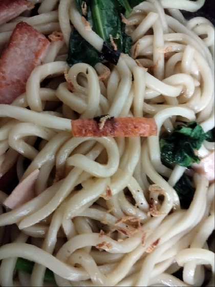 アミエビ焼きうどん