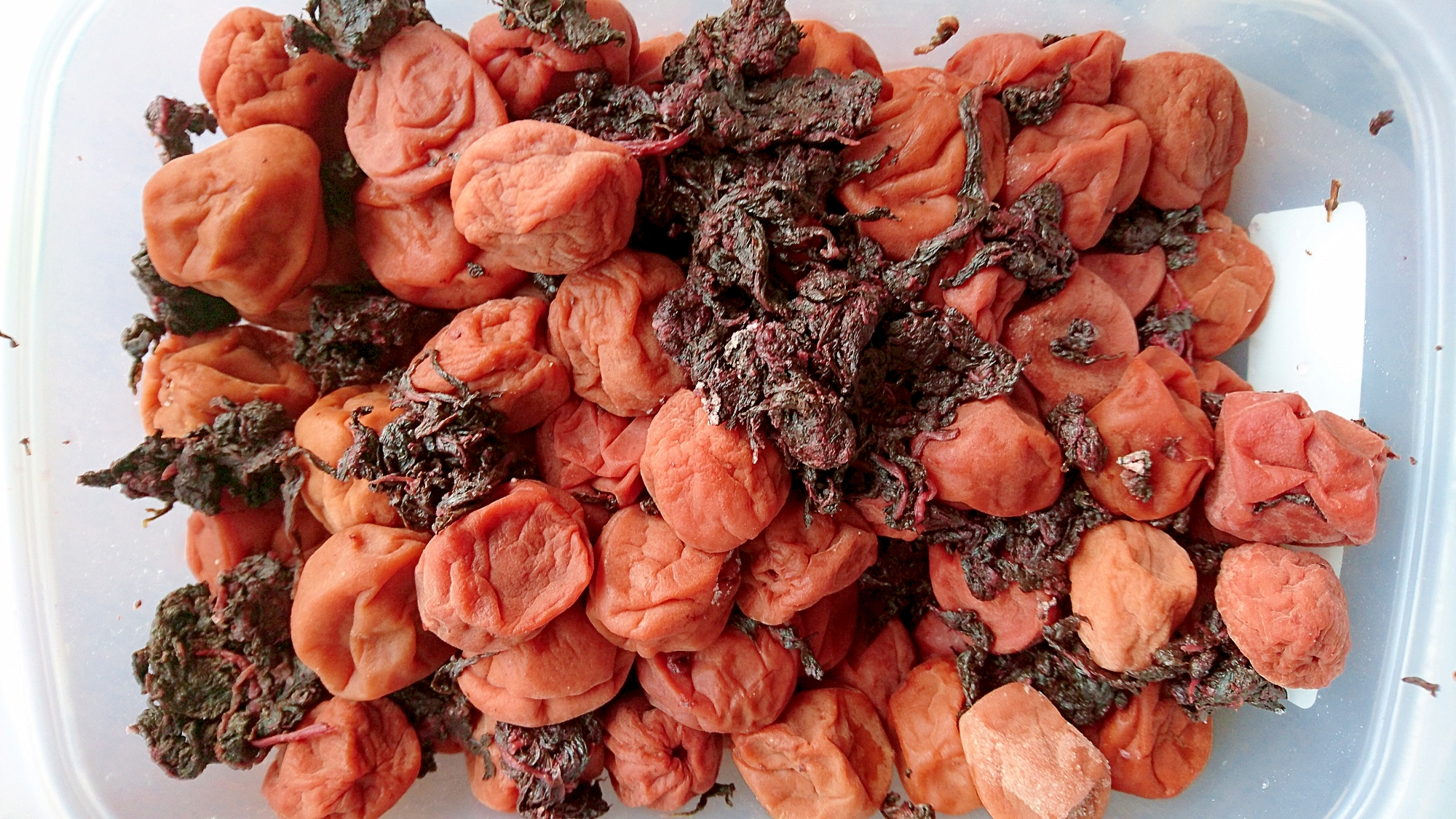 梅干しの作り方 レシピ 作り方 By Taka Tt 楽天レシピ