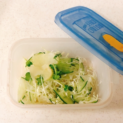 スプラウト入りサラダ