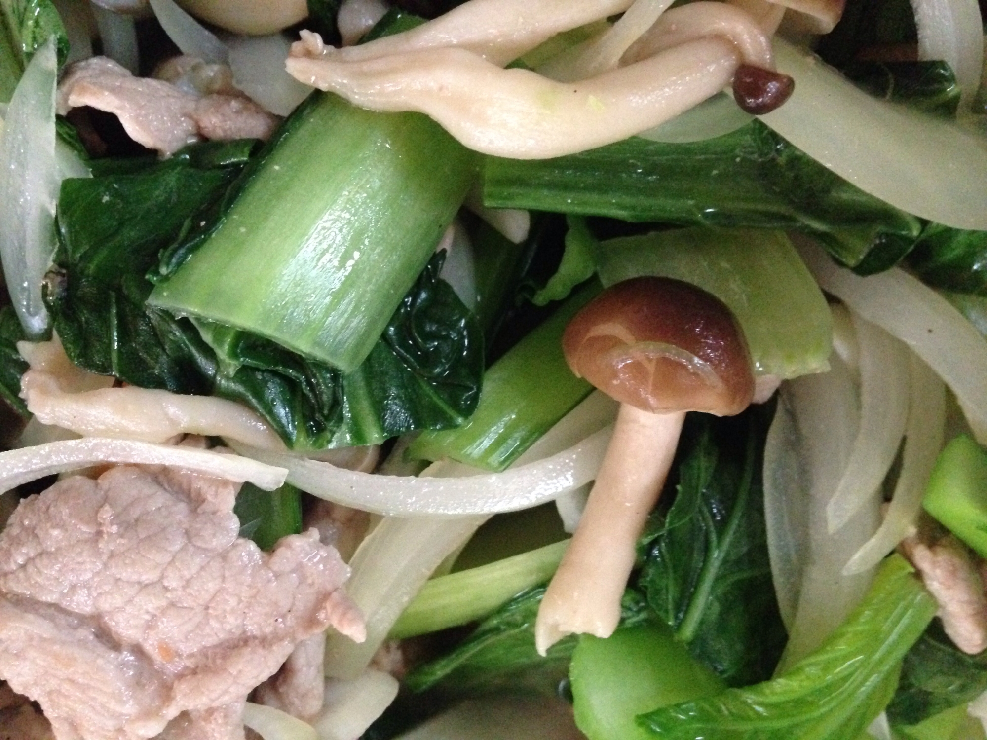 小松菜とたまねぎとしめじと豚肉の塩炒め