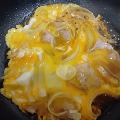 玉ねぎとねぎたっぷり♪親子丼