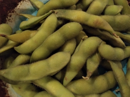 レンジで簡単茹で枝豆