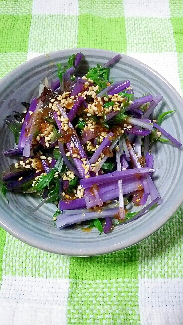 紫色の水菜のサラダ