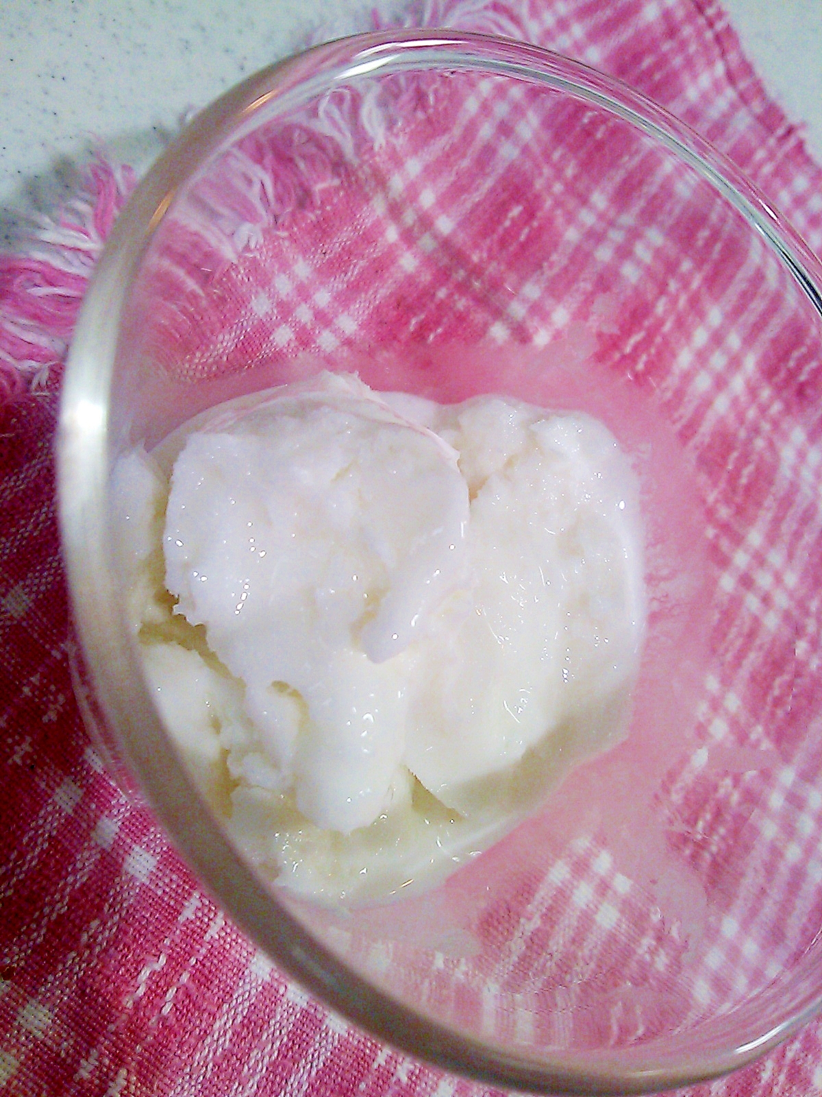 【糖質制限】ココナッツミルクヨーグルトアイス