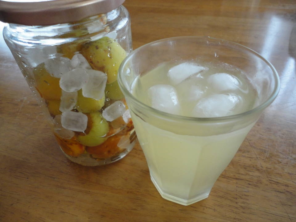 簡単漬けるだけ初夏の味 梅ジュース 梅シロップ レシピ 作り方 By Alinaアリーナ 楽天レシピ 簡単漬けるだけ初夏の味 梅ジュース 梅シロップ レシピ 作り方 By Alinaアリーナ 楽天レシピ