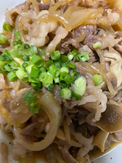 ご飯がすすむ！ピリ辛牛丼の具