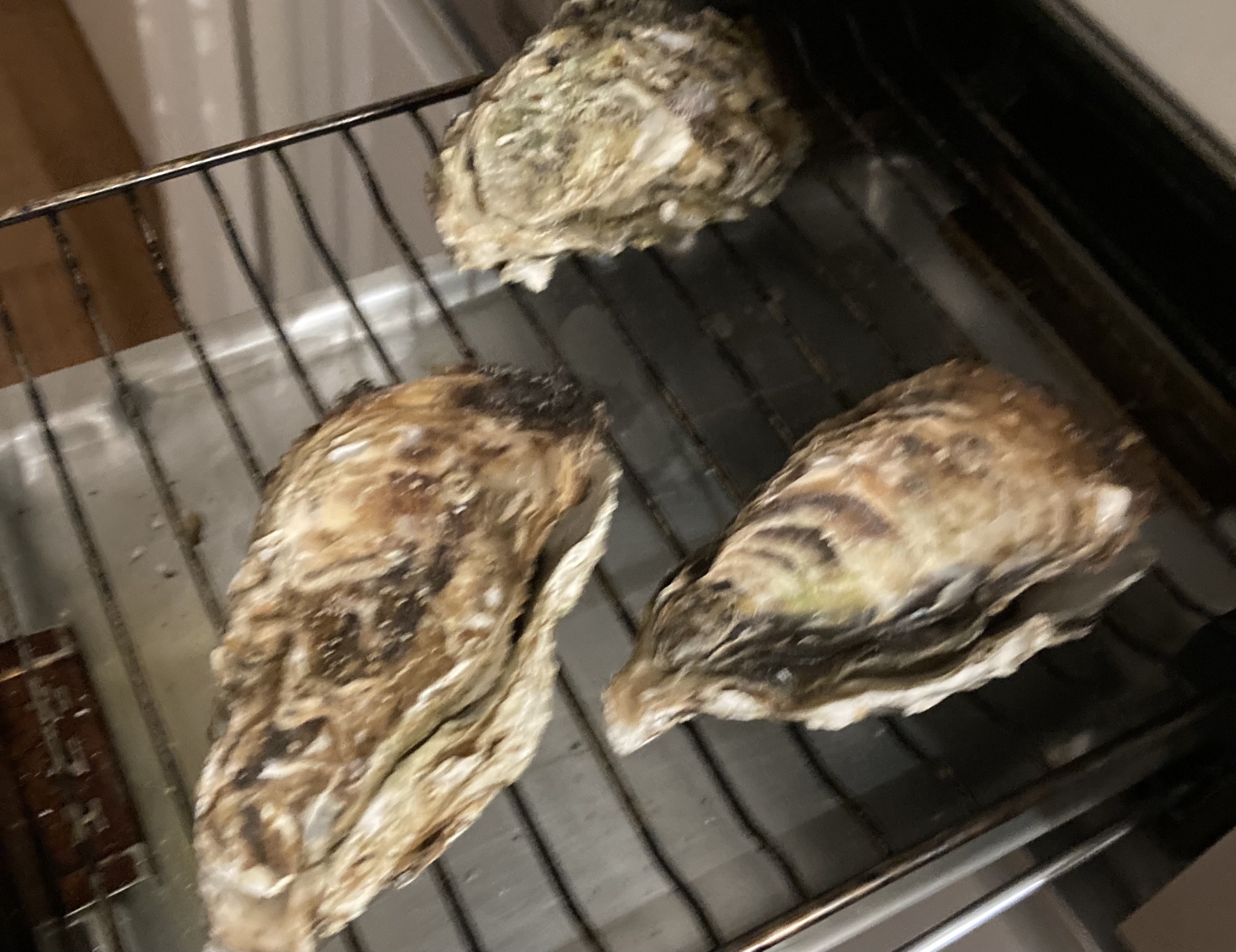 魚焼きグリルに牡蠣が入っている様子