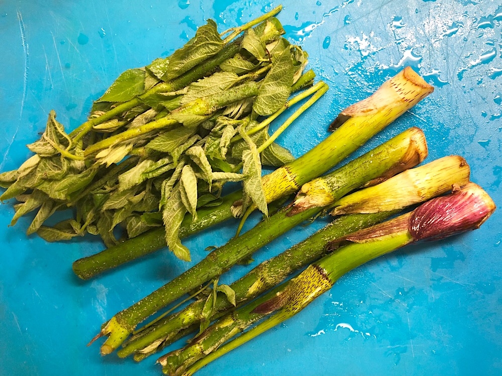 捨てるところなし 山うどの葉 麺つゆマヨ和え レシピ 作り方 By M H 楽天レシピ