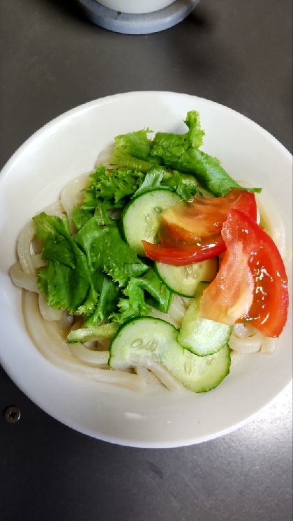 火を使わない～✨野菜たっぷり丼✨ご飯や蕎麦うどんに