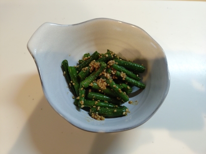 小鉢の定番♡栄養たっぷり♡いんげんのごま和え