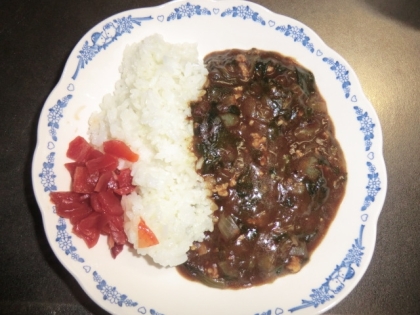 スパイスで作る☆ほうれん草カレー