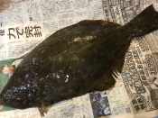 平目の捌き方 5枚おろしからの刺身盛り合わせ レシピ 作り方 By なまらbuono 楽天レシピ 平目の捌き方 5枚おろしからの刺身盛り合わせ レシピ 作り方 By なまらbuono 楽天レシピ