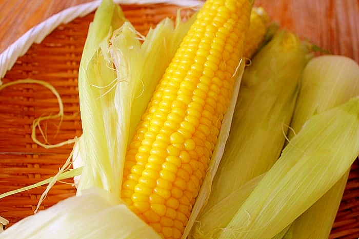 とうもろこし とうもろこし