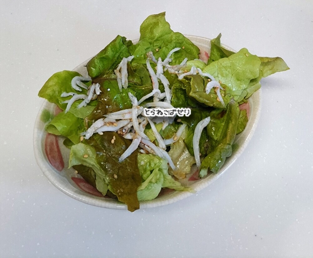 しらすとレタスのサラダ
