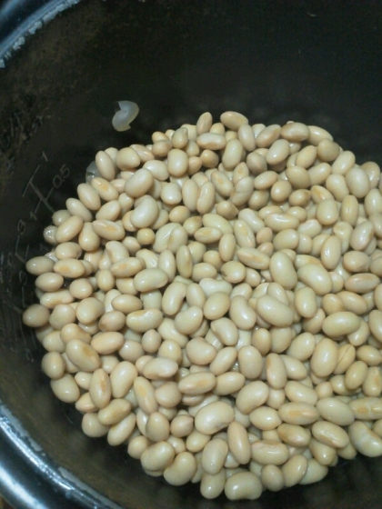 スイッチ・ポン☆　炊飯器で茹で大豆 