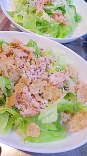 のせるだけ~簡単ツナサラダ