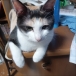 なりあんぬ