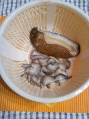 おろしポン酢のナマコ レシピ 作り方 By テツオ63 楽天レシピ おろしポン酢のナマコ レシピ 作り方 By テツオ63 楽天レシピ