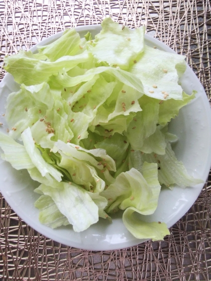 レタス大量消費！無限レタス