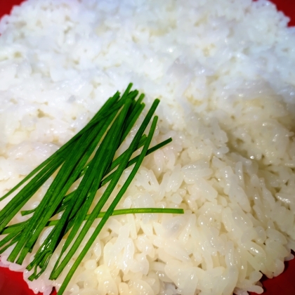 顆粒だしを使った酢飯は初めまして。気になる気になるレシピ、手軽で旨味が加わるので便利ですね！ご馳走さまでした♪