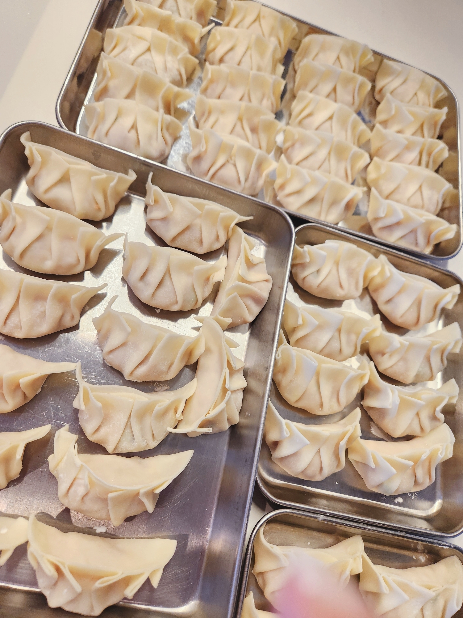 【おかず】冷凍保存OK 白菜餃子