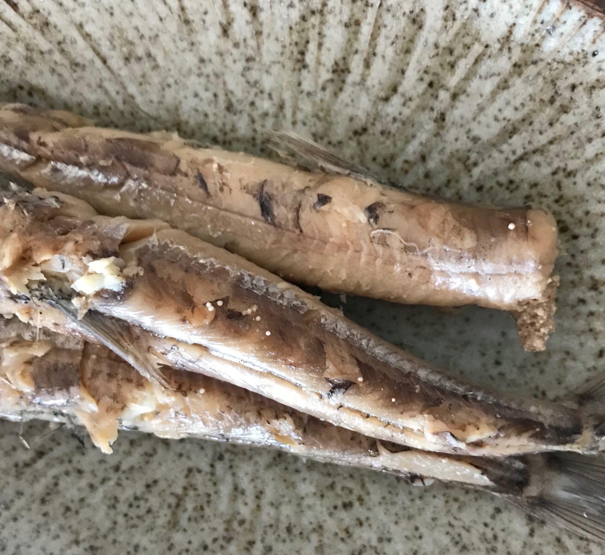 めぎすの塩焼き