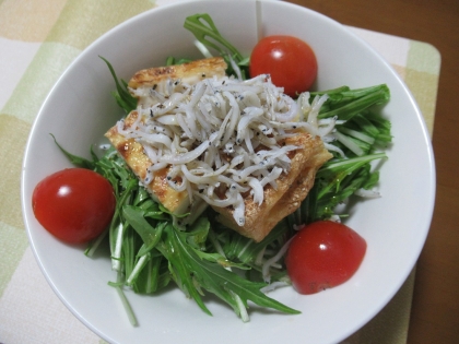 カリっと焼いた厚揚げとシャキッとした水菜の食感がイイですね！
たっぷりしらすの塩味も程よく、美味しくいただきました♪