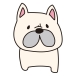 てーちゃ。