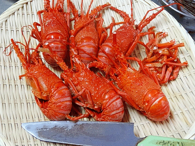 茹で方とさばき方 伊勢海老の塩ゆで レシピ 作り方 By Startrek 楽天レシピ 茹で方とさばき方 伊勢海老の塩ゆで レシピ 作り方 By Startrek 楽天レシピ