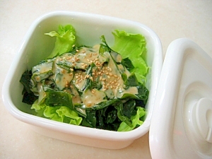 お弁当に レタスとわかめのサラダ レシピ 作り方 By ぶるぶるらぶ 楽天レシピ お弁当に レタスとわかめのサラダ レシピ 作り方 By ぶるぶるらぶ 楽天レシピ