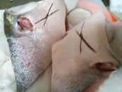 フライパンで簡単ぶりかま塩焼き レシピ 作り方 By Kuuuma 楽天レシピ フライパンで簡単ぶりかま塩焼き レシピ 作り方 By Kuuuma 楽天レシピ