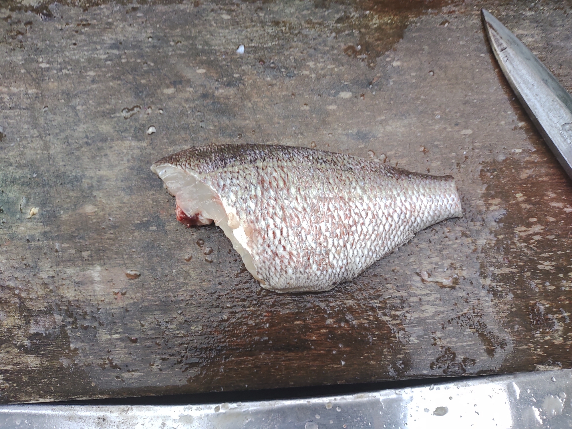 鯛の卸し方 レシピ 作り方 By 応援屋 楽天レシピ 鯛の卸し方 レシピ 作り方 By 応援屋 楽天レシピ