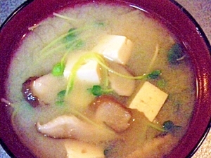 豆腐と干椎茸と貝割れのお味噌汁