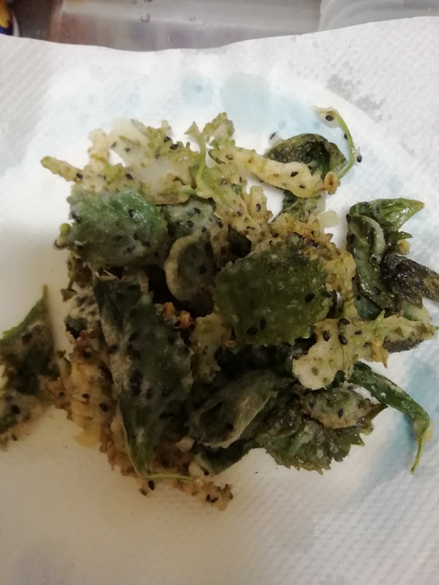 シソの葉と花の黒ゴマ入り天ぷら レシピ 作り方 By 料理大好きえみちゃん 楽天レシピ シソの葉と花の黒ゴマ入り天ぷら レシピ 作り方 By 料理大好きえみちゃん 楽天レシピ