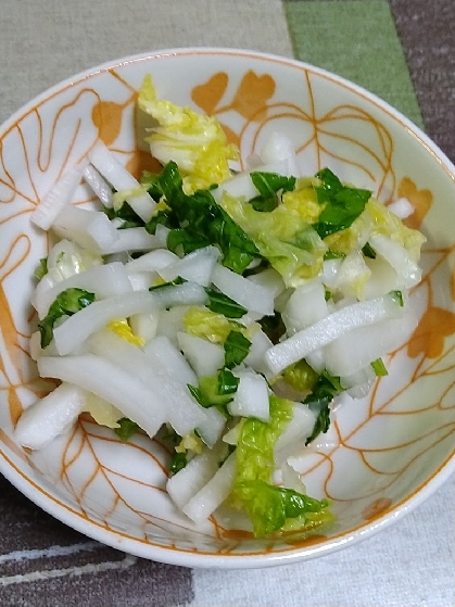 自宅で簡単！白菜漬け