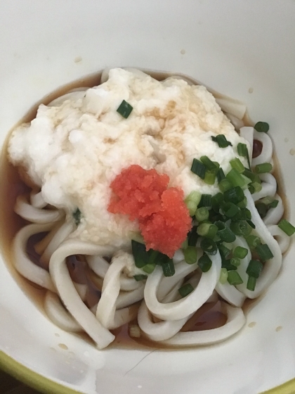 明太とろろうどん