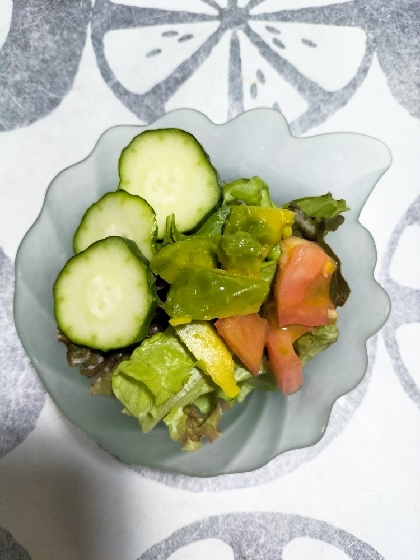 アボカドドレッシングで野菜サラダ