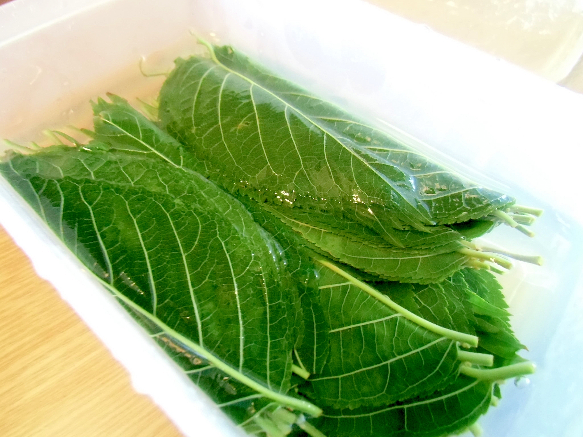 桜の葉の塩漬け レシピ 作り方 By Miashimatora 楽天レシピ 桜の葉の塩漬け レシピ 作り方 By Miashimatora 楽天レシピ