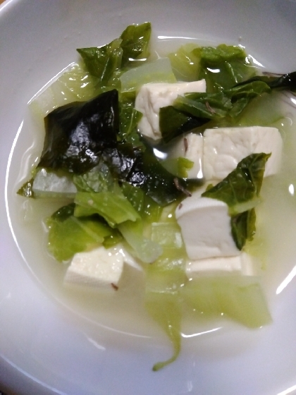 玉ねぎと豆腐と白菜の味噌汁