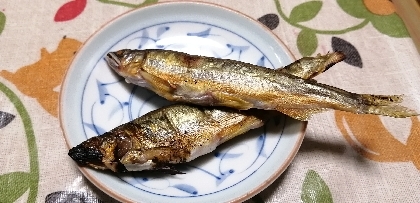 鮎の　グリル焼き　レモン生姜醤油